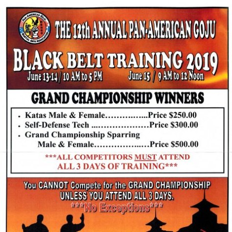 Black Belt Training 2019